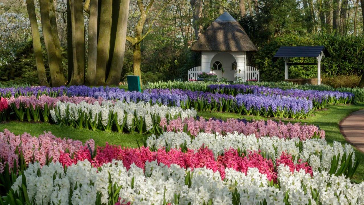 Molecaten Park Noordduinen Katwijk aan Zee Extérieur photo