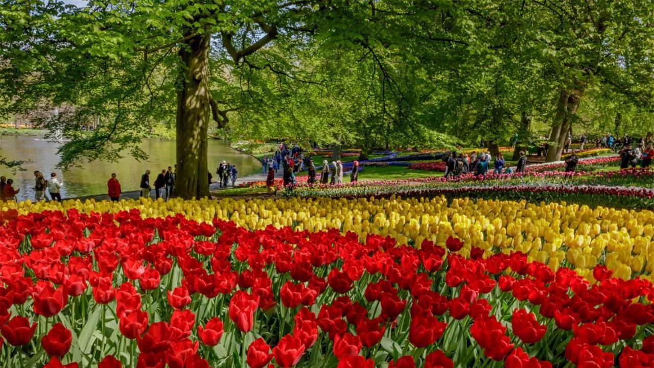 Molecaten Park Noordduinen Katwijk aan Zee Extérieur photo