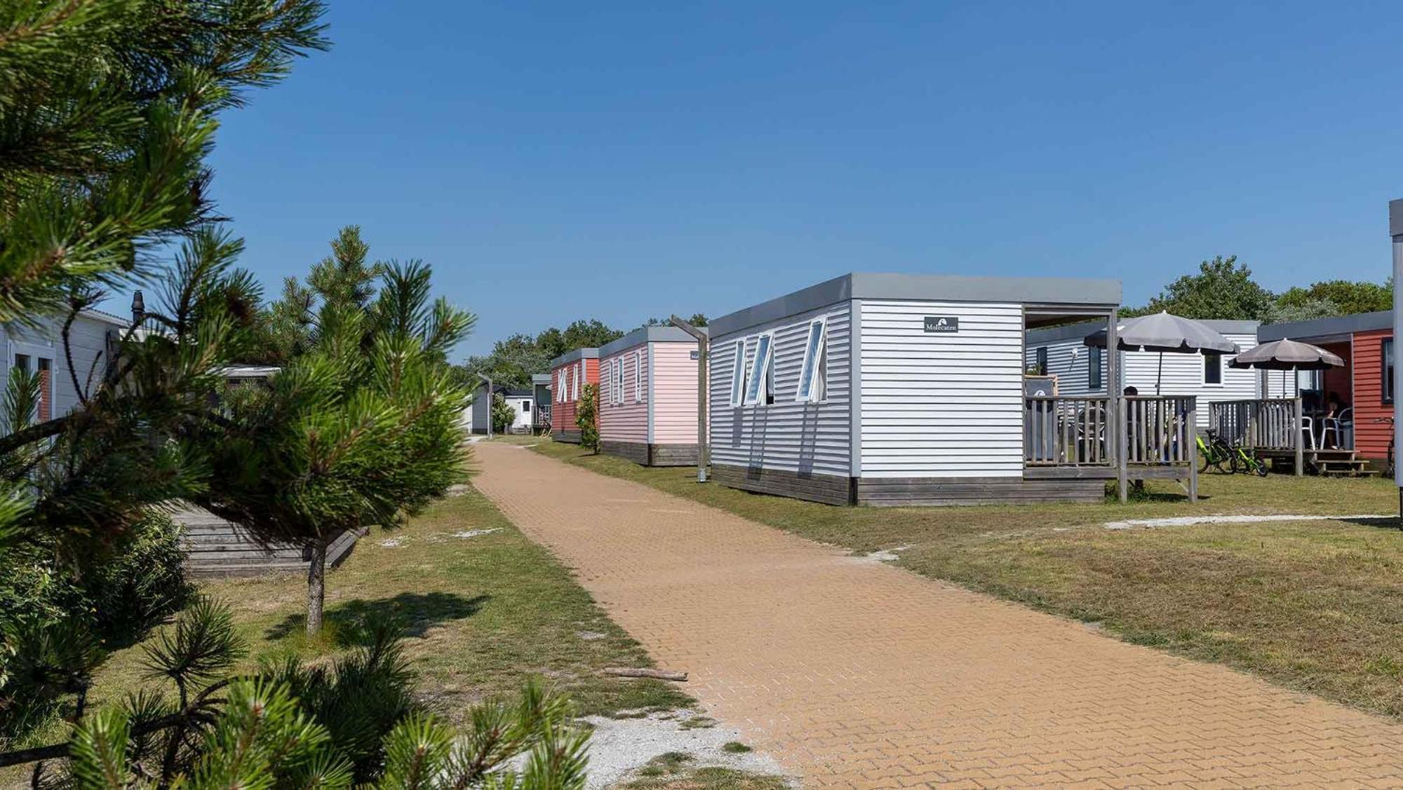 Molecaten Park Noordduinen Katwijk aan Zee Chambre photo